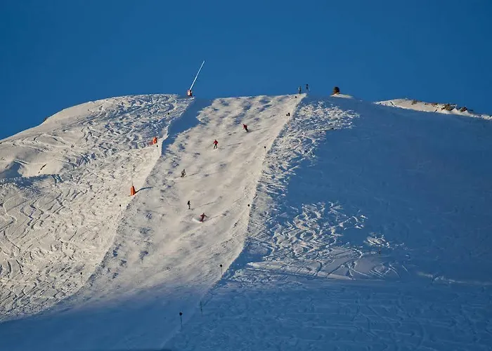 Hotel Chalet Belvedere